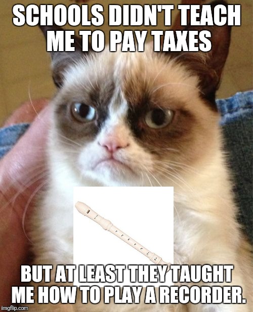 Grumpy Cat Meme | SCHOOLS DIDN'T TEACH ME TO PAY TAXES BUT AT LEAST THEY TAUGHT ME HOW TO PLAY A RECORDER. | image tagged in memes,grumpy cat | made w/ Imgflip meme maker