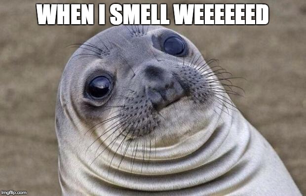 Best smell | WHEN I SMELL WEEEEEED | image tagged in memes,awkward moment sealion,smoke weed everyday,weed,legalize weed | made w/ Imgflip meme maker