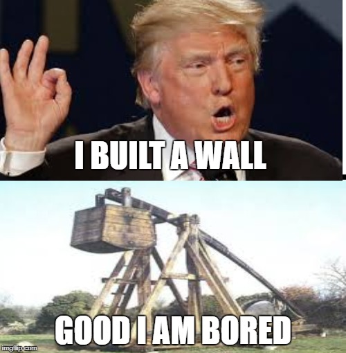 Trebuchet Memes  | I BUILT A WALL; GOOD I AM BORED | image tagged in trump,bored,trebuchets,wall,good,i built a wall | made w/ Imgflip meme maker