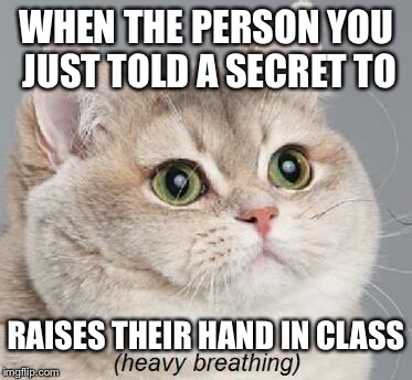 Heavy Breathing Cat Meme | WHEN THE PERSON YOU JUST TOLD A SECRET TO; RAISES THEIR HAND IN CLASS | image tagged in memes,heavy breathing cat | made w/ Imgflip meme maker