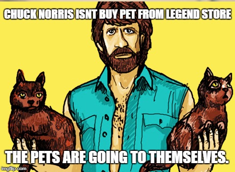 CHUCK NORRIS ISNT BUY PET FROM LEGEND STORE; THE PETS ARE GOING TO THEMSELVES. | made w/ Imgflip meme maker