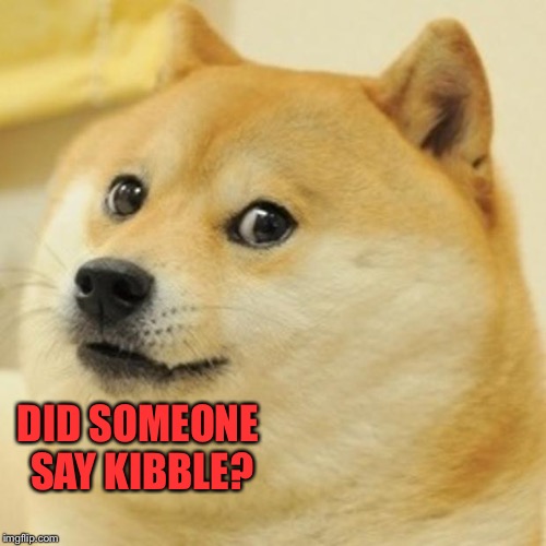 Doge Meme | DID SOMEONE SAY KIBBLE? | image tagged in memes,doge | made w/ Imgflip meme maker