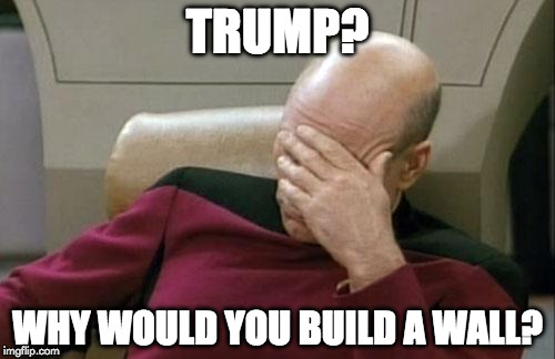 Captain Picard Facepalm | TRUMP? WHY WOULD YOU BUILD A WALL? | image tagged in memes,captain picard facepalm | made w/ Imgflip meme maker