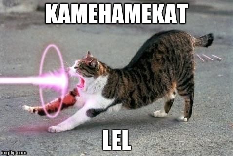 Kamehameha Cat | KAMEHAMEKAT; LEL | image tagged in kamehameha cat | made w/ Imgflip meme maker