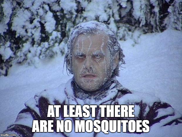 Jack Nicholson The Shining Snow | AT LEAST THERE ARE NO MOSQUITOES | image tagged in memes,jack nicholson the shining snow | made w/ Imgflip meme maker