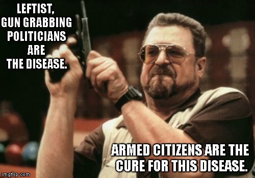 Am I The Only One Around Here | LEFTIST, GUN GRABBING POLITICIANS ARE THE DISEASE. ARMED CITIZENS ARE THE CURE FOR THIS DISEASE. | image tagged in memes,am i the only one around here | made w/ Imgflip meme maker