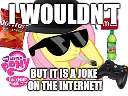 MLG Pony | I WOULDN'T BUT IT IS A JOKE ON THE INTERNET! | image tagged in mlg pony | made w/ Imgflip meme maker