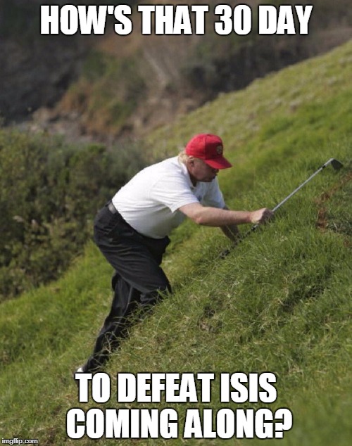 Donald Trump hunting for a golfball | HOW'S THAT 30 DAY; TO DEFEAT ISIS COMING ALONG? | image tagged in donald trump hunting for a golfball | made w/ Imgflip meme maker