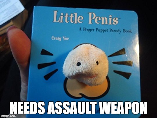 Little Penis | NEEDS ASSAULT WEAPON | image tagged in little penis | made w/ Imgflip meme maker