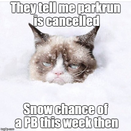 parkrun, snow | They tell me parkrun is cancelled; Snow chance of a PB this week then | image tagged in grumpy cat snow | made w/ Imgflip meme maker