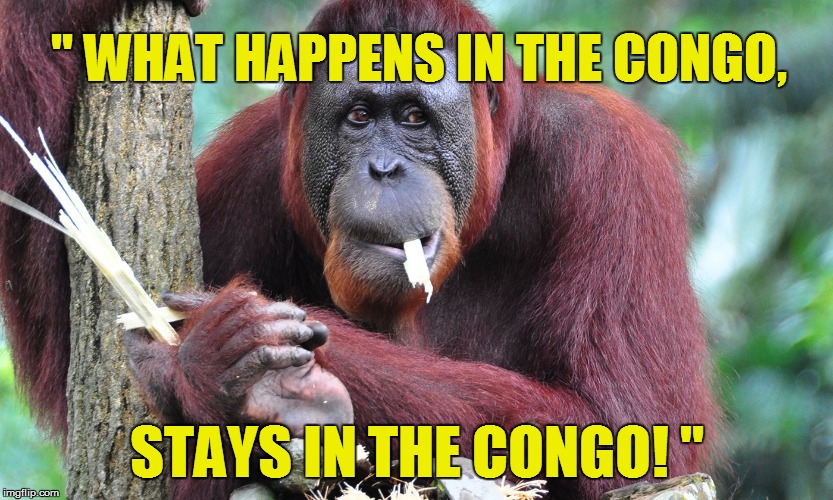 " WHAT HAPPENS IN THE CONGO, STAYS IN THE CONGO! " | made w/ Imgflip meme maker