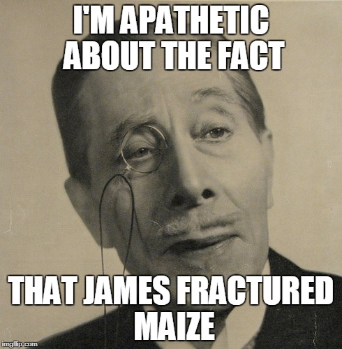 Old British Guy | I'M APATHETIC ABOUT THE FACT; THAT JAMES FRACTURED MAIZE | image tagged in old british guy | made w/ Imgflip meme maker