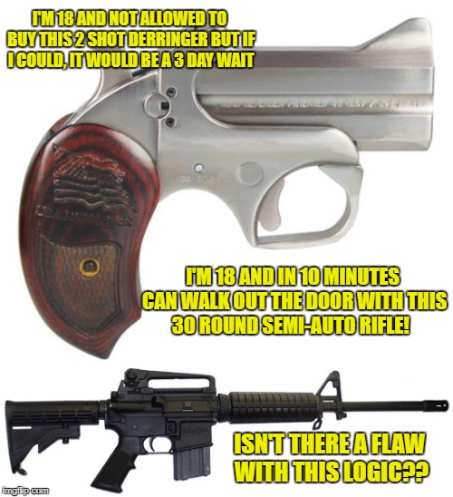 GUN LOGIC | I'M 18 AND NOT ALLOWED TO BUY THIS 2 SHOT DERRINGER BUT IF I COULD, IT WOULD BE A 3 DAY WAIT; I'M 18 AND IN 10 MINUTES CAN WALK OUT THE DOOR WITH THIS 30 ROUND SEMI-AUTO RIFLE! ISN'T THERE A FLAW WITH THIS LOGIC?? | image tagged in gun control,gun laws,gun rights | made w/ Imgflip meme maker