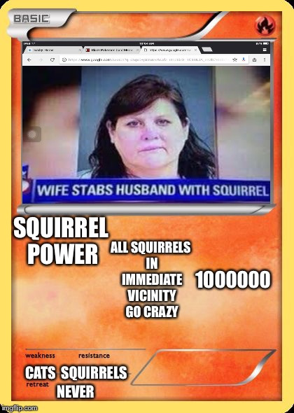 Blank Pokemon Card | ALL SQUIRRELS IN IMMEDIATE VICINITY GO CRAZY; 1000000; SQUIRREL POWER; SQUIRRELS; CATS; NEVER | image tagged in blank pokemon card | made w/ Imgflip meme maker