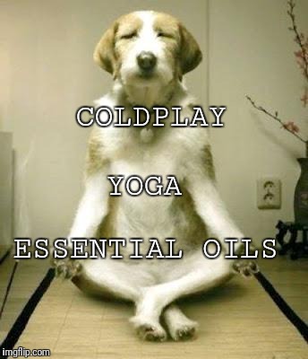 Friday Yoga dog | COLDPLAY; YOGA; ESSENTIAL OILS | image tagged in friday yoga dog | made w/ Imgflip meme maker
