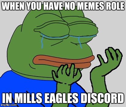 pepe cry | WHEN YOU HAVE NO MEMES ROLE; IN MILLS EAGLES DISCORD | image tagged in pepe cry | made w/ Imgflip meme maker