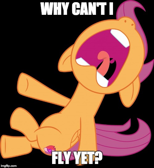 Scootaloo can't fly yet, and she's not happy | WHY CAN'T I; FLY YET? | image tagged in frightened scootaloo,memes,scootaloo,flying,my little pony | made w/ Imgflip meme maker