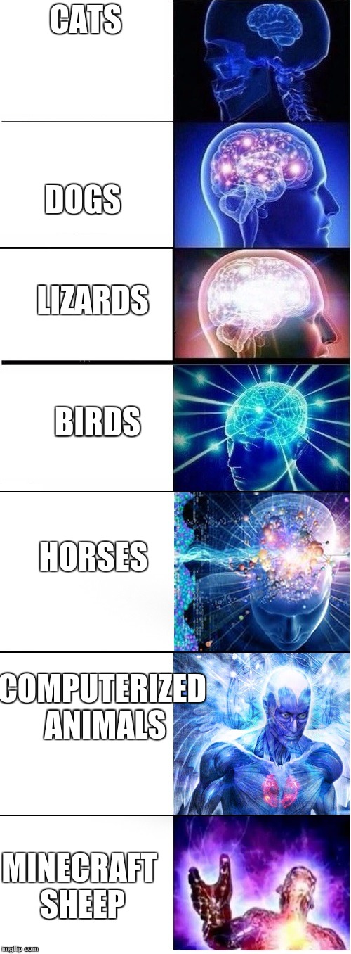 evolution of pets | DOGS; CATS; LIZARDS; BIRDS; HORSES; COMPUTERIZED ANIMALS; MINECRAFT SHEEP | image tagged in expanding brain extended 2 | made w/ Imgflip meme maker