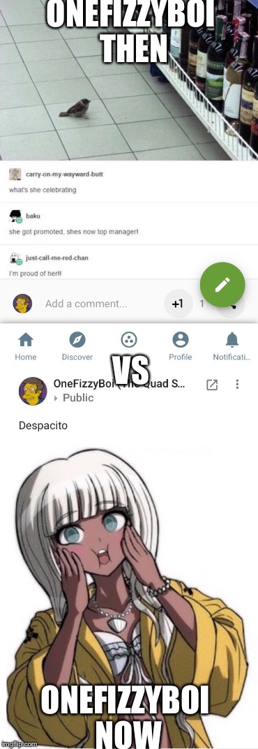 Me then vs me now | ONEFIZZYBOI THEN; VS; ONEFIZZYBOI NOW | image tagged in birb,danganronpa,google plus,onefizzyboi,despacito | made w/ Imgflip meme maker