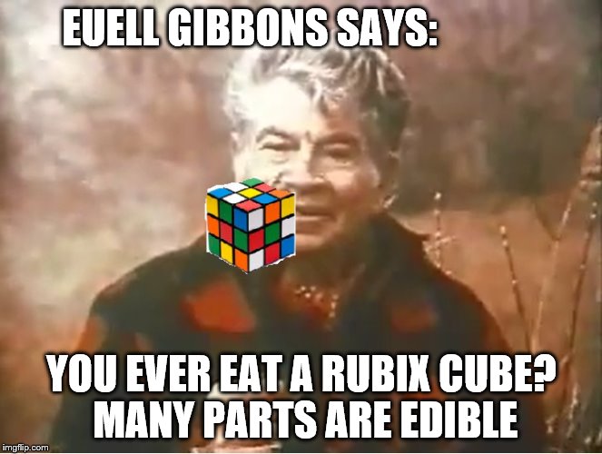 Euell Gibbons | EUELL GIBBONS SAYS:; YOU EVER EAT A RUBIX CUBE? MANY PARTS ARE EDIBLE | image tagged in rubik cube | made w/ Imgflip meme maker