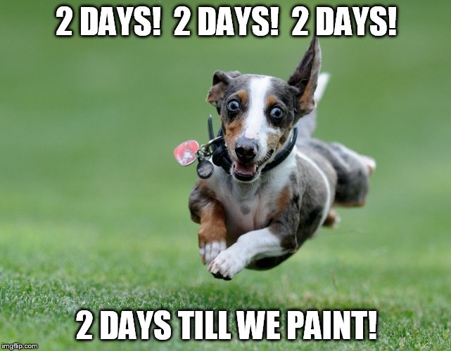 Excited dog | 2 DAYS!  2 DAYS!  2 DAYS! 2 DAYS TILL WE PAINT! | image tagged in excited dog | made w/ Imgflip meme maker
