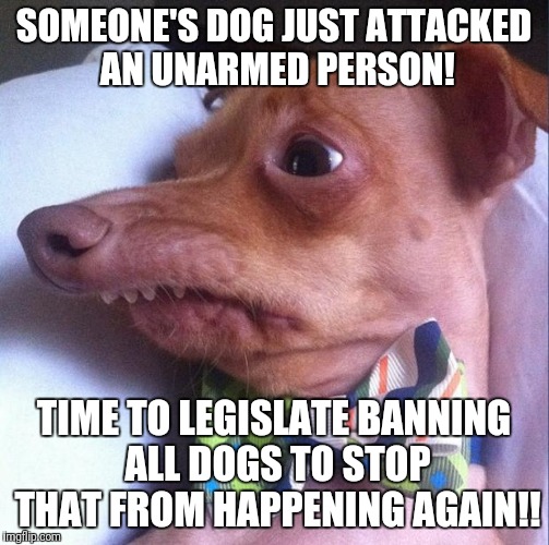 Tuna the dog (Phteven) | SOMEONE'S DOG JUST ATTACKED AN UNARMED PERSON! TIME TO LEGISLATE BANNING ALL DOGS TO STOP THAT FROM HAPPENING AGAIN!! | image tagged in tuna the dog phteven | made w/ Imgflip meme maker