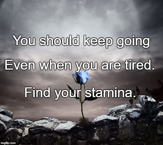 Tired | You should keep going; Even when you are tired. Find your stamina. | image tagged in tired | made w/ Imgflip meme maker