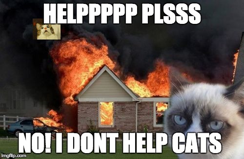 Burn Kitty Meme | HELPPPPP PLSSS; NO! I DONT HELP CATS | image tagged in memes,burn kitty,grumpy cat | made w/ Imgflip meme maker