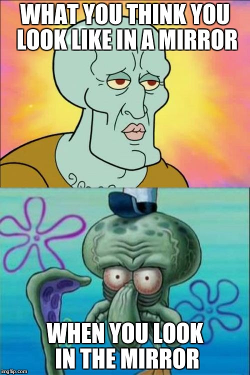 Squidward | WHAT YOU THINK YOU LOOK LIKE IN A MIRROR; WHEN YOU LOOK IN THE MIRROR | image tagged in memes,squidward | made w/ Imgflip meme maker