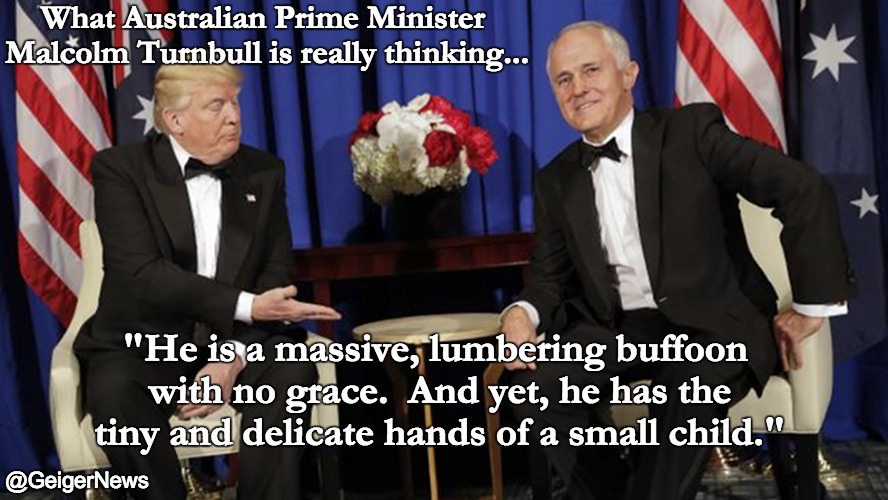 What Australian Prime Minister Malcolm Turnbull is really thinking... "He is a massive, lumbering buffoon with no grace.  And yet, he has the tiny and delicate hands of a small child."; @GeigerNews | image tagged in trump | made w/ Imgflip meme maker