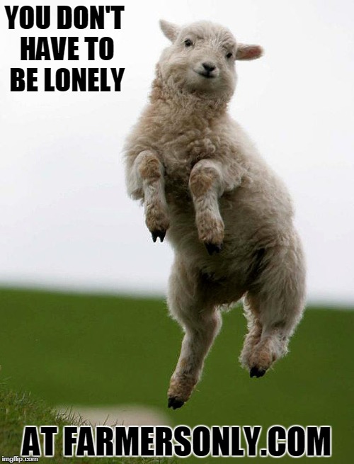 This is what pops in my head every time I see those commercials. | YOU DON'T HAVE TO BE LONELY; AT FARMERSONLY.COM | image tagged in dancing sheep,farmers,funny memes,internet,wierd | made w/ Imgflip meme maker
