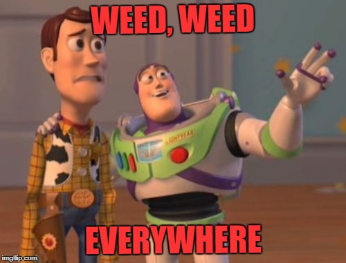 X, X Everywhere Meme | WEED, WEED; EVERYWHERE | image tagged in memes,x x everywhere | made w/ Imgflip meme maker