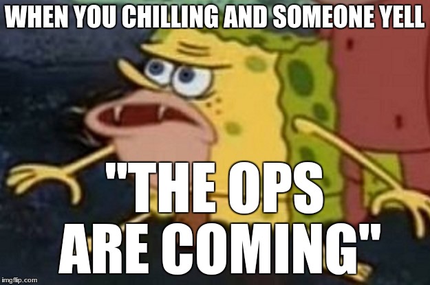 sponge bob | WHEN YOU CHILLING AND SOMEONE YELL; "THE OPS ARE COMING" | image tagged in sponge bob | made w/ Imgflip meme maker