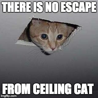 Ceiling Cat | THERE IS NO ESCAPE; FROM CEILING CAT | image tagged in memes,ceiling cat | made w/ Imgflip meme maker