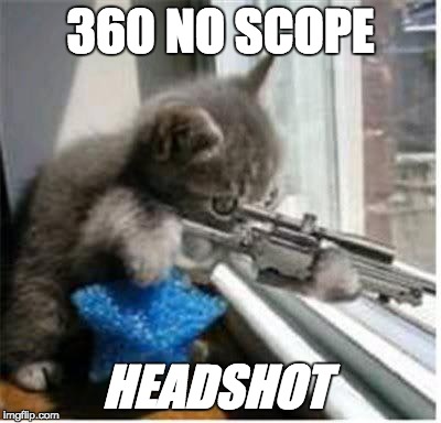 catlord99 + fortnight | 360 NO SCOPE; HEADSHOT | image tagged in cats with guns | made w/ Imgflip meme maker