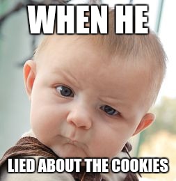 Skeptical Baby Meme | WHEN HE LIED ABOUT THE COOKIES | image tagged in memes,skeptical baby | made w/ Imgflip meme maker