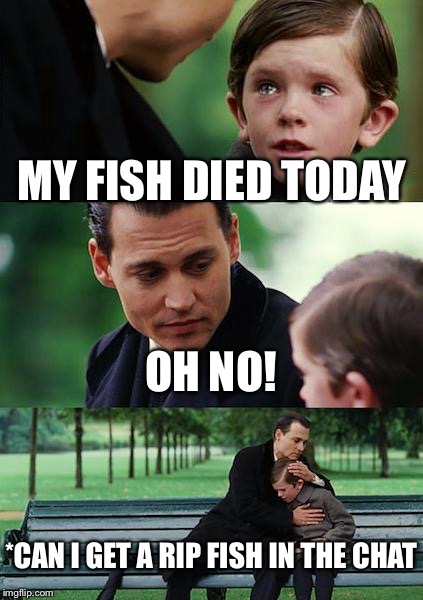 Finding Neverland | MY FISH DIED TODAY; OH NO! *CAN I GET A RIP FISH IN THE CHAT | image tagged in memes,finding neverland | made w/ Imgflip meme maker