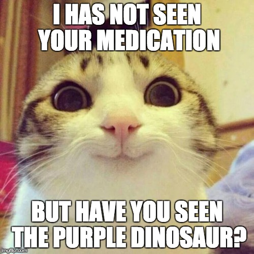 on high cat | I HAS NOT SEEN YOUR MEDICATION; BUT HAVE YOU SEEN THE PURPLE DINOSAUR? | image tagged in memes,smiling cat | made w/ Imgflip meme maker