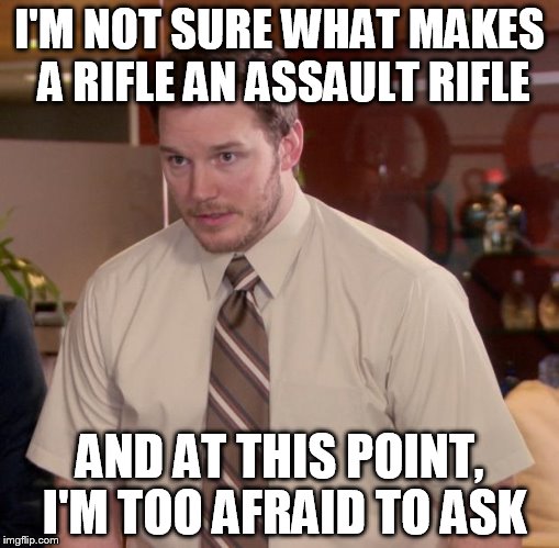 Afraid To Ask Andy Meme | I'M NOT SURE WHAT MAKES A RIFLE AN ASSAULT RIFLE; AND AT THIS POINT, I'M TOO AFRAID TO ASK | image tagged in memes,afraid to ask andy | made w/ Imgflip meme maker