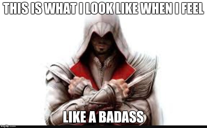 Assassins creed | THIS IS WHAT I LOOK LIKE WHEN I FEEL; LIKE A BADASS | image tagged in assassins creed | made w/ Imgflip meme maker