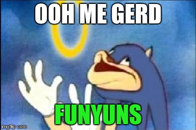 Sonic derp | OOH ME GERD; FUNYUNS | image tagged in sonic derp | made w/ Imgflip meme maker