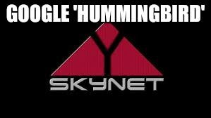 GOOGLE 'HUMMINGBIRD' | made w/ Imgflip meme maker