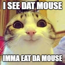 potatos and catshi crazy | I SEE DAT MOUSE; IMMA EAT DA MOUSE | image tagged in potatos and catshi crazy | made w/ Imgflip meme maker