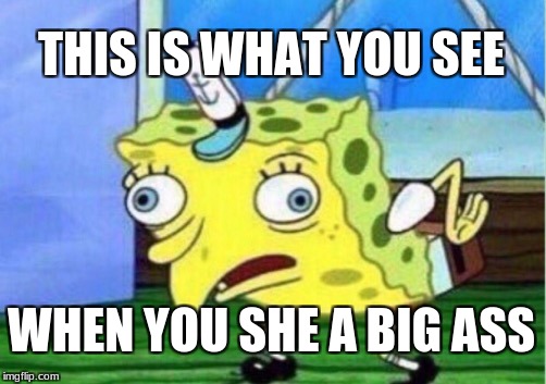Mocking Spongebob Meme | THIS IS WHAT YOU SEE; WHEN YOU SHE A BIG ASS | image tagged in memes,mocking spongebob | made w/ Imgflip meme maker