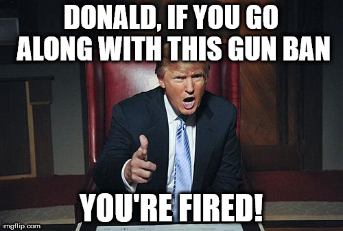 Donald Trump You're Fired | DONALD, IF YOU GO ALONG WITH THIS GUN BAN; YOU'RE FIRED! | image tagged in donald trump you're fired | made w/ Imgflip meme maker