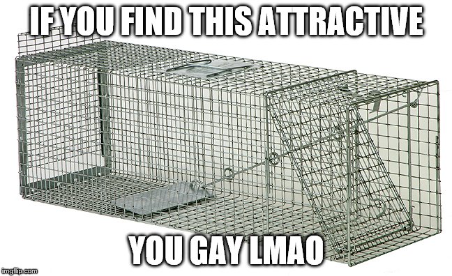 No U | IF YOU FIND THIS ATTRACTIVE; YOU GAY LMAO | image tagged in memes,it's a trap | made w/ Imgflip meme maker