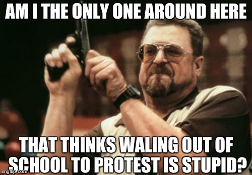 Comment if you think otherwise |  AM I THE ONLY ONE AROUND HERE; THAT THINKS WALING OUT OF SCHOOL TO PROTEST IS STUPID? | image tagged in memes,am i the only one around here,school,walking,protest,school shooter | made w/ Imgflip meme maker