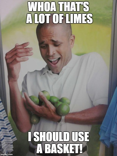 Why Can't I Hold All These Limes | WHOA THAT'S A LOT OF LIMES; I SHOULD USE A BASKET! | image tagged in memes,why can't i hold all these limes | made w/ Imgflip meme maker