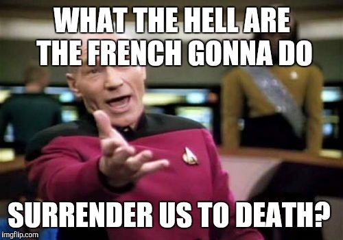 Picard Wtf Meme | WHAT THE HELL ARE THE FRENCH GONNA DO SURRENDER US TO DEATH? | image tagged in memes,picard wtf | made w/ Imgflip meme maker