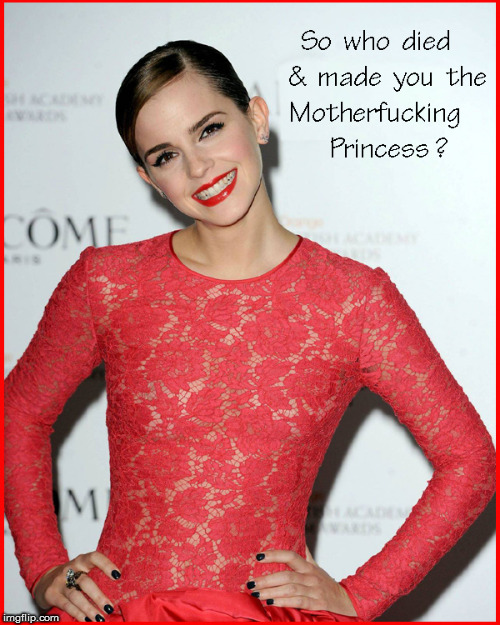 Who died & made you the MF-ing Princess ? | image tagged in emma watson,babes,lol,funny memes,too funny,surprise motherfucker | made w/ Imgflip meme maker